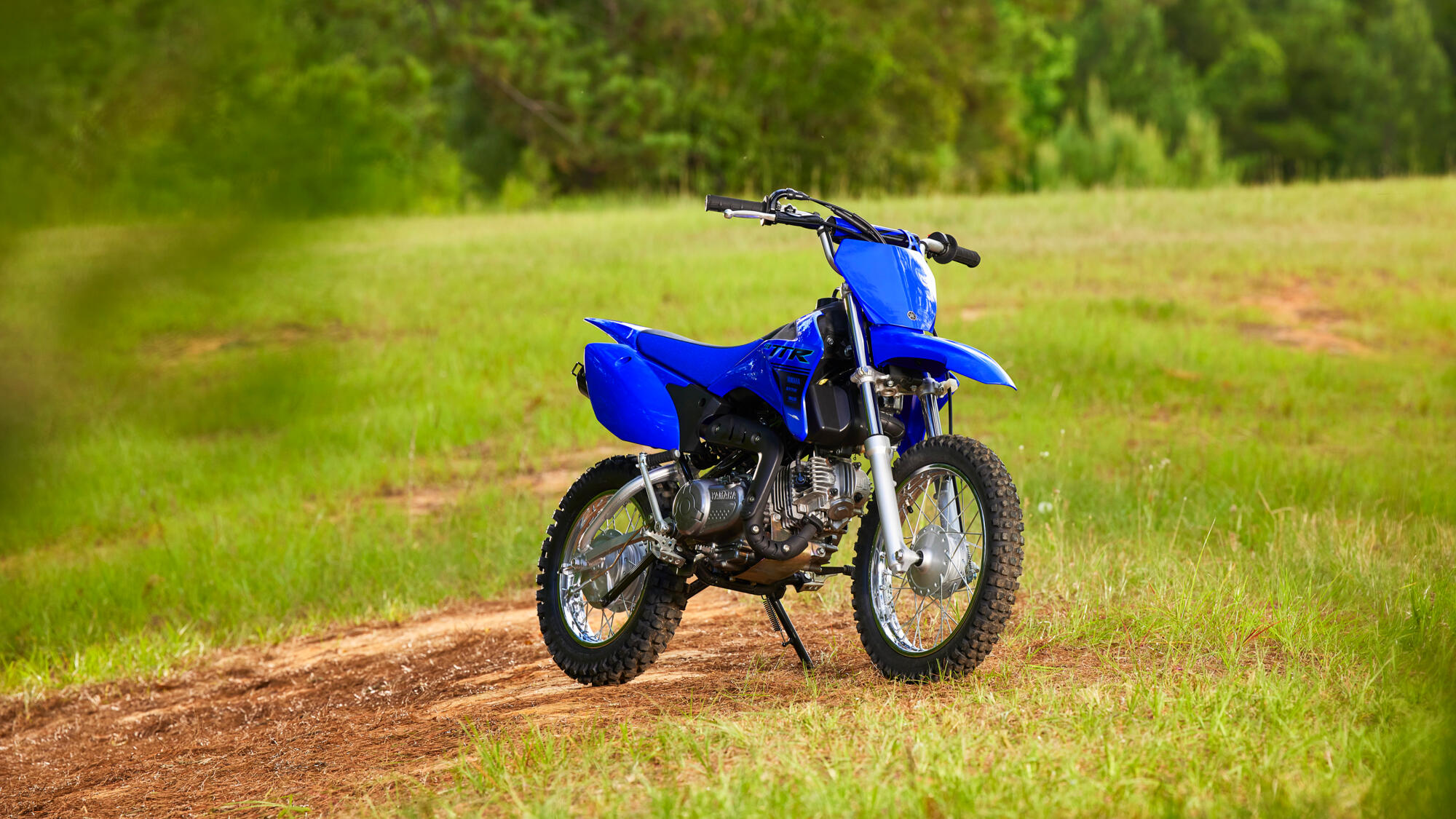 Yamaha TT-R110 Crosser model 2024